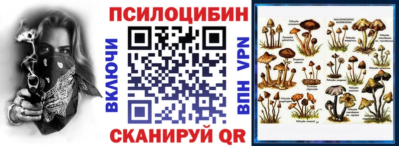 Псилоцибиновые грибы Cubensis  Аргун 